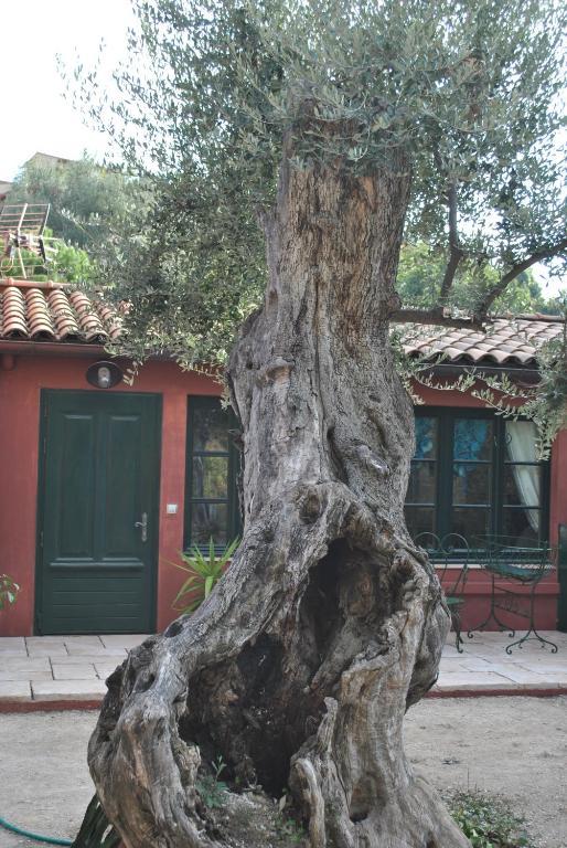 Bed and Breakfast Sous L'Olivier Menton Exterior foto